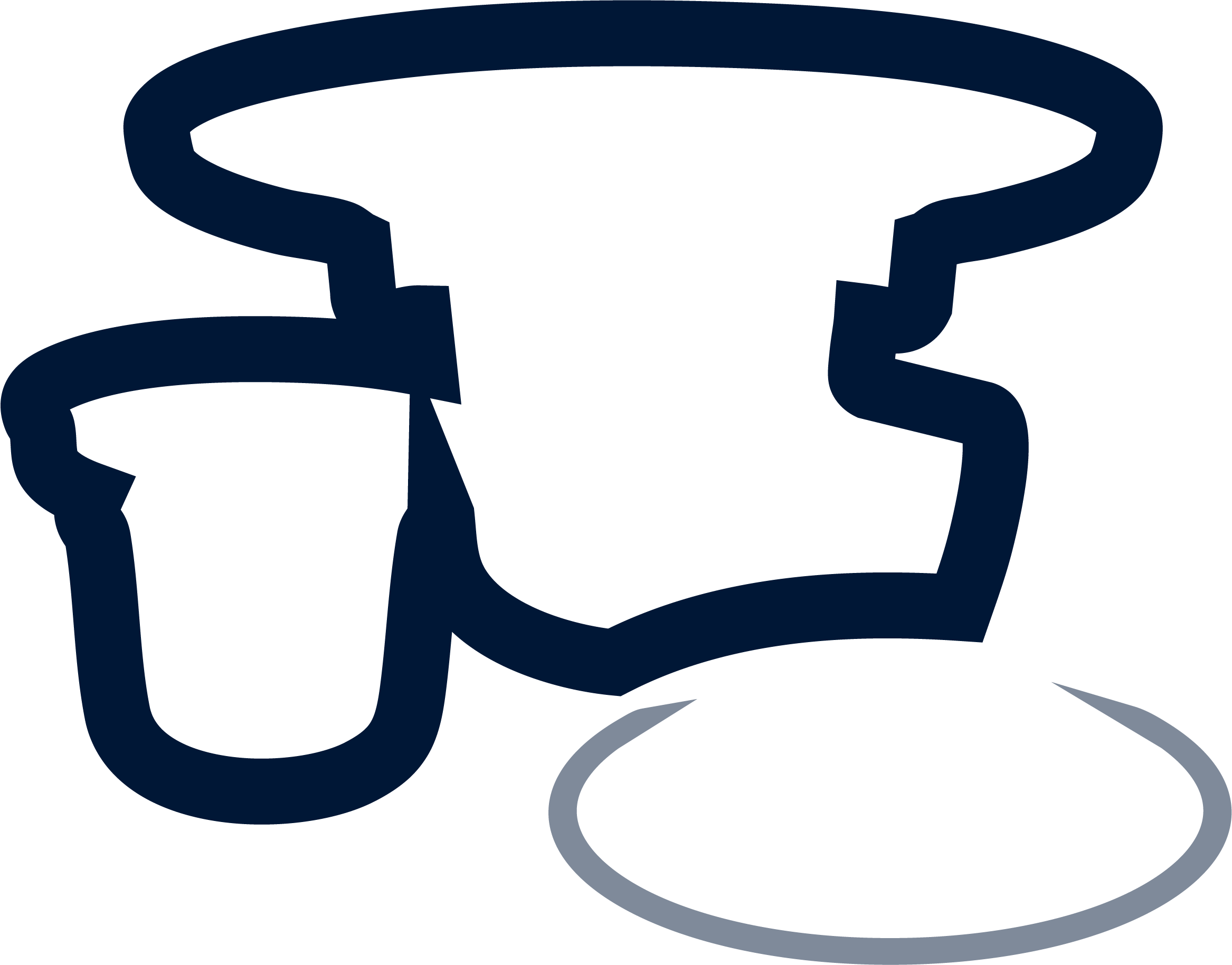 Category Icon